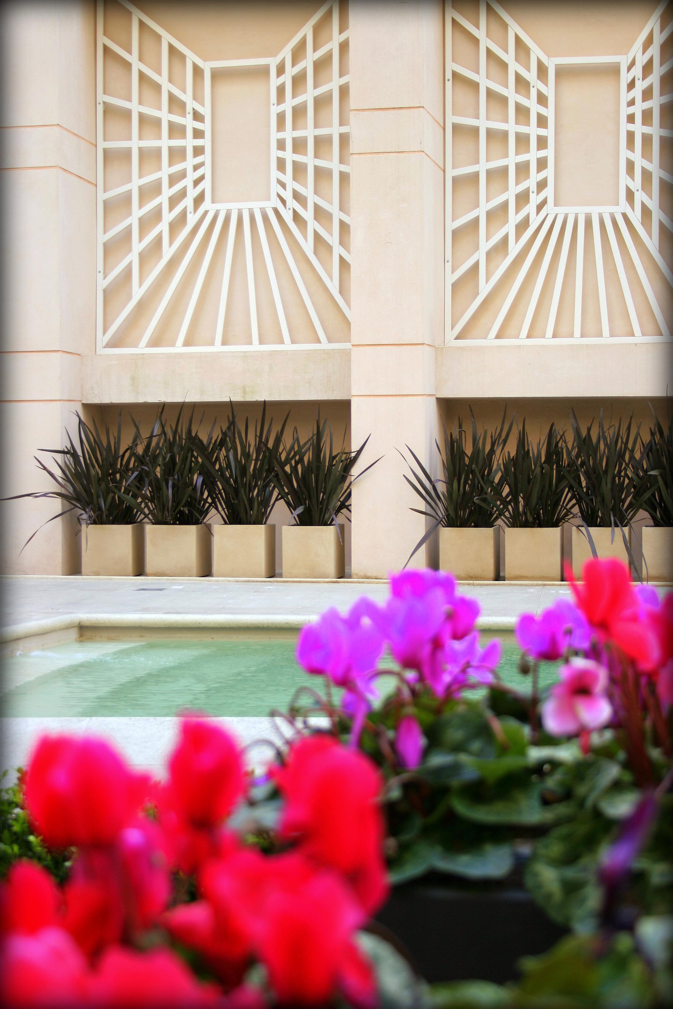 ホテル リーガル パシフィック プエルト マデロ ブエノスアイレス エクステリア 写真 The pool at the Four Seasons Hotel